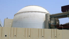 Iran’s Bushehr nuclear power plant resumes operation after two-week maintenance to fix ‘technical fault’ 