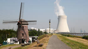Nuclear reactor shut down manually in Belgium following possible hydrogen leak – watchdog