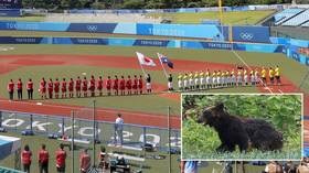 Bear with us: Olympic security ‘on alert’ as brown bear spotted ‘on the loose’ near softball stadium just hours before first game