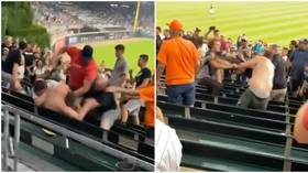 Baseball fans branded ‘fat white trash dudes’ for brawling in wild scenes at Chicago White Sox game (VIDEO)