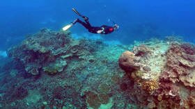 Great Barrier Reef avoids UNESCO endangered list after lobbying efforts from Australia and 11 other countries