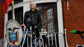 Decision to strip Assange of Ecuadorian citizenship hasn’t come into force, his lawyer tells RT, while preparing an appeal