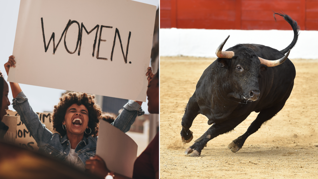 Forget cruelty and slaughter… it's naming a bull 'Feminist' that's finally  got bullfighting cancelled — RT Op-ed