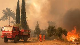 EU firefighters sent to Turkey to help fight forest blazes that have claimed 8 lives