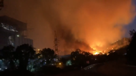 Turkish power plant EVACUATED as wildfire inferno bears down on facility (VIDEOS)
