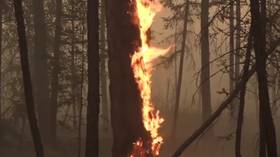 ‘Plow, plow, manage, extinguish, saw’: RT reports from epicenter of battle against record wildfires in Russia’s Yakutia