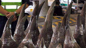 Hong Kong reclassifies wildlife trafficking as ‘organized crime’ in bid to crack down on illegal trade