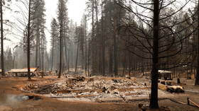 Thousands evacuated as Northern California blaze triples in size in 24 hours, destroys dozens of homes (VIDEOS)