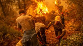 Evacuation launched after Greece’s Evia island is hit by second wildfire in two weeks