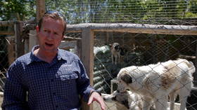UK evacuation flight to pick up Pen Farthing & his rescue animals from Kabul cancelled after backlash, but effort is on