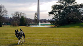 White House reporter decides to ask about Biden’s DOG in the middle of Afghanistan crisis