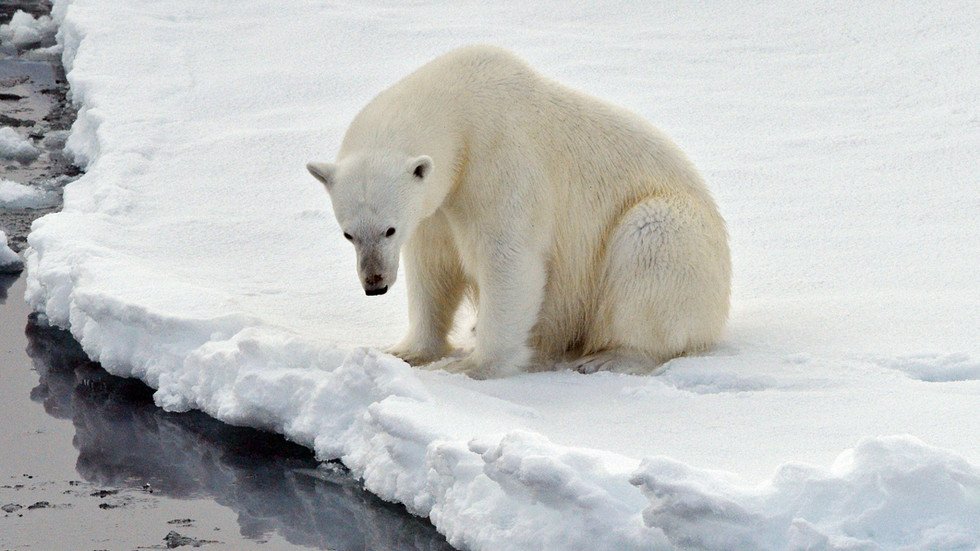 Arctic Oil & Gas Production Reportedly Booming Despite Climate Concerns 