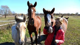 Russia’s agricultural exports soar as shipments to Europe & S. Korea see wild surge