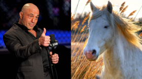 ‘Do I have to sue CNN?’ Joe Rogan lashes out at liberal network for claiming he took ‘horse dewormer’ to fight Covid-19