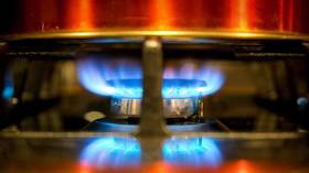 European gas prices hit another record high on low supply