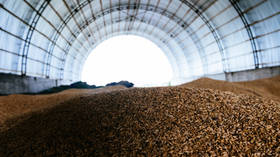 Russia resumes wheat exports to Algeria after 5yr break