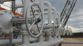 Russian natural gas reserves to last another century – Gazprom