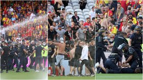 Turf wars: Riot police confront thugs on pitch as violent chaos breaks out at top-flight football match in France again (VIDEO)