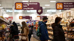 UK facing impending food crisis due to rising CO2 prices, govt warns