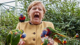 Outgoing German Chancellor Angela Merkel looks super excited in viral photo from exotic bird park