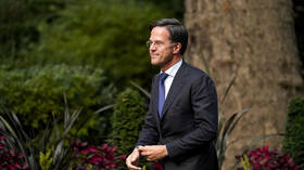 Dutch PM receives extra security on high alert over fears of Moroccan Mafia kidnapping plot – media