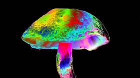 As a doctor, I think magic mushrooms probably CAN help depression…but only if given by medical experts.