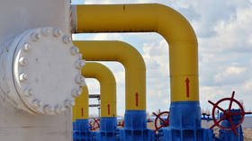 Kiev is unreliable partner for transporting gas to West, top Russian lawmaker argues amid row over decision to circumvent Ukraine