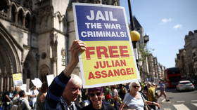 Key witness in FBI case against Assange held in custody to stop his ‘crime spree’ in Iceland – media