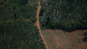 Environmental activists take Brazilian president Bolsonaro to ICC over ‘crimes against humanity’ for destruction of Amazon