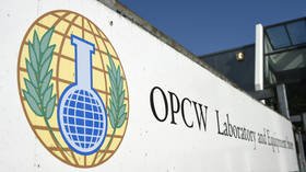 OPCW appears to collude with Western nations to pin Navalny’s ‘poisoning’ on Russia, Moscow’s envoy to the watchdog claims to RT