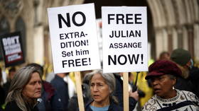 Amnesty says US vows not to torture Assange ‘aren’t worth paper they’re written on’ due to Washington’s dismal human rights record