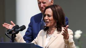 Democratic agitator Al Sharpton leans on Biden to give Kamala Harris ‘more positions of power’