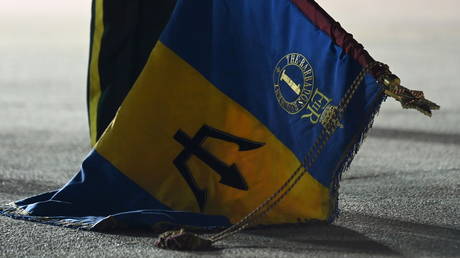 Detail including the royal crest of Britain's Queen Elizabeth is seen on a flag held by a member of the Barbados military during a Guard of Honour. © REUTERS / Toby Melville