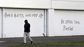 Armed, masked activists burn hijacked bus in pro-British unionist town of Newtownards