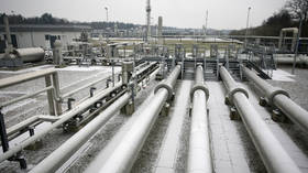 Europe is offered backup plan to curb gas shortage