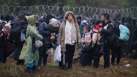EU could pay Belarus to end migrant crisis, Russia suggests