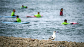 Town 'cleans' beach by polluting sea