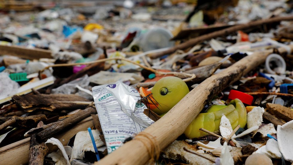 Nature creates plastic-eating bugs to save itself from pollution ...