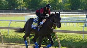 Kentucky Derby winner collapses and dies after workout