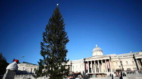 Norway declines to arrange London Christmas tree replacement