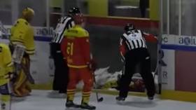 Hockey stars disappear in bizarre scenes (VIDEO)