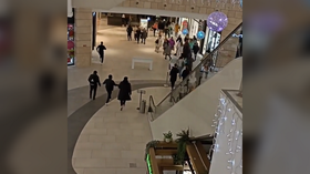 Bomb scare at mall as shoplifter shows grenade (VIDEOS)