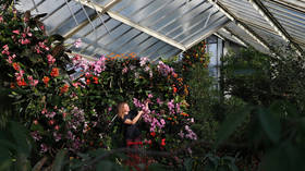 Plan to ‘decolonise’ plants may violate UK law – report