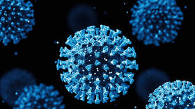 New coronavirus strain found
