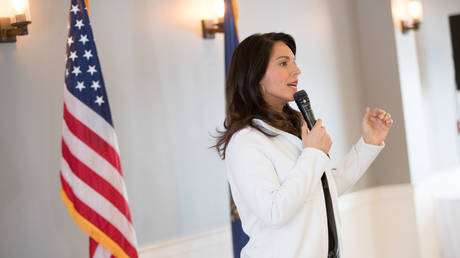 FILE PHOTO. Tulsi Gabbard speaks during a campaign event. ©Scott Eisen / Getty Images