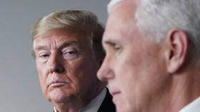 US ‘going through hell’ because of Pence, Trump says