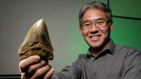 Megalodon shark way beyond scientists’ imagination – study