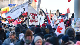 ‘Hey Trudeau, we’re part of the Freedom Convoy and it’s a show of unity, not hate’