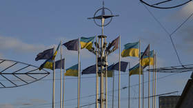 Ukraine might drop NATO bid – ambassador