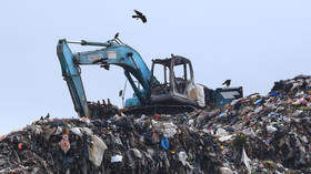 Waste dumped illegally returned to UK